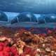 Illustration for article titled Gorgeous Concept Designs for Underwater Cities